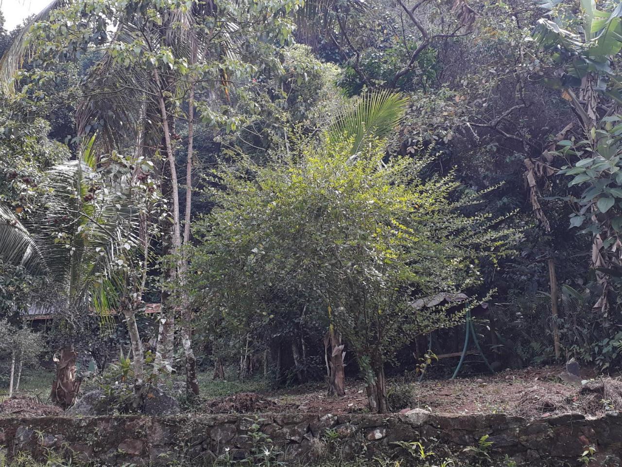 Recanto Da Gipoia Άνγκρα Ντος Ρέις Εξωτερικό φωτογραφία